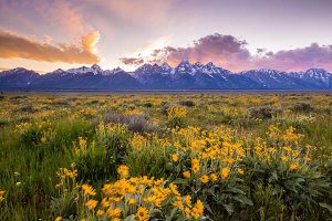 Grand Teton National Park is a great day trip while visiting Windhaven RV Resort in Dubois WY Grand Teton National Park is a great day trip while visiting Windhaven RV Resort in Dubois WY