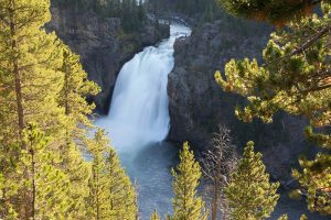 Yellowstone National Park near Windhaven RV Resort in Dubois WY Yellowstone National Park near Windhaven RV Resort in Dubois WY