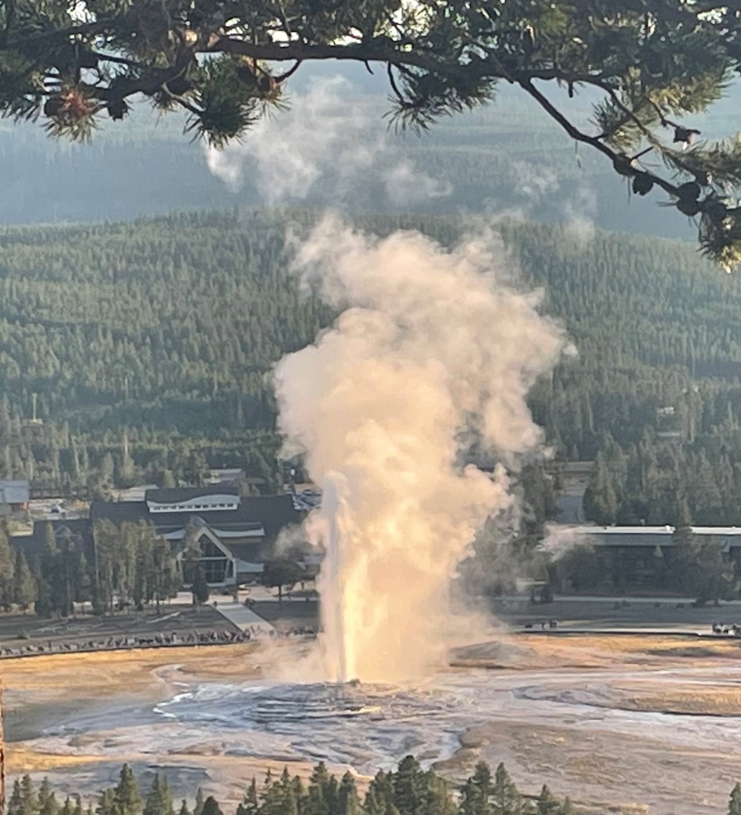 How to Read Yellowstone Geyser Predictions: A Time Window, Not an Appointment 1 Old Faithful geyser erupting in Yellowstone National Park