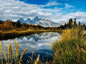 Grand Teton autumn mountain reflection Grand Teton mountains reflected in water beside golden autumn grasses